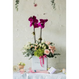 Fernanda, orquídea en planta en arreglo floral.