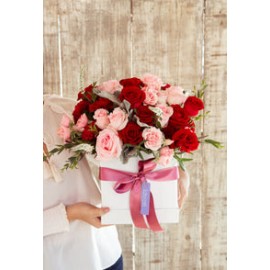 Andrea, rosas rojas y rosas rosadas.