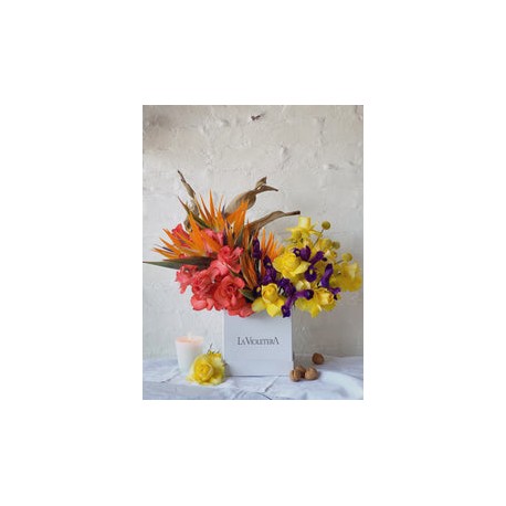 Galia, exotica selección de flores coloridas.