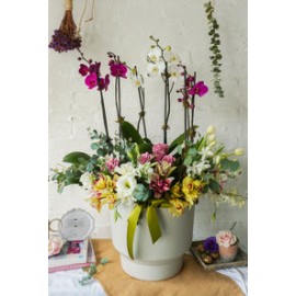 Ada, arreglo floral con 6 varas de  orquídeas.